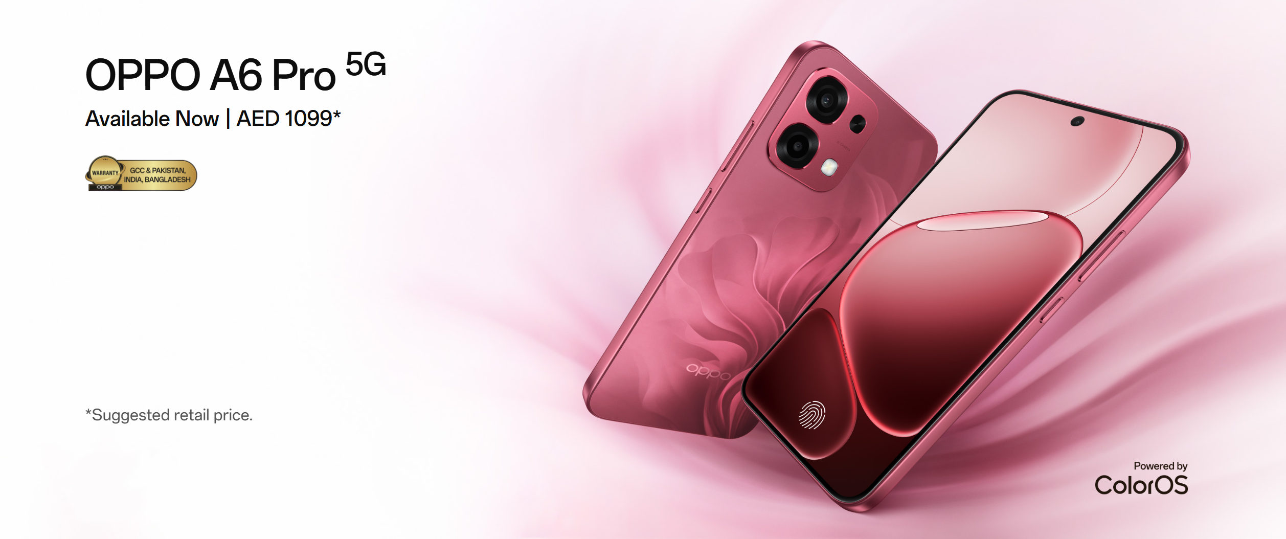 微信图片_20260113200137_179_62